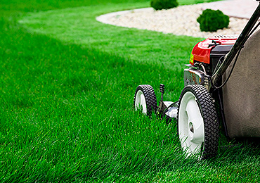 Other Services-Landscaping 2 Other Services-Landscaping 2